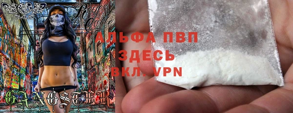 стаф Алексин