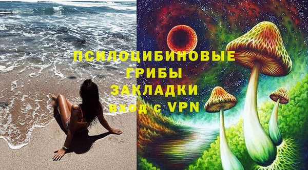 тгк Алзамай