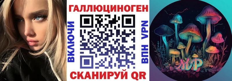 Псилоцибиновые грибы MAGIC MUSHROOMS  купить наркотики сайты  Петровск 